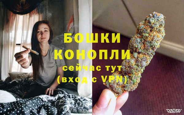 прущие крисы Мегион