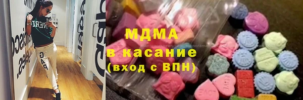 прущие грибы Медногорск