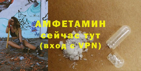 прущие грибы Медногорск