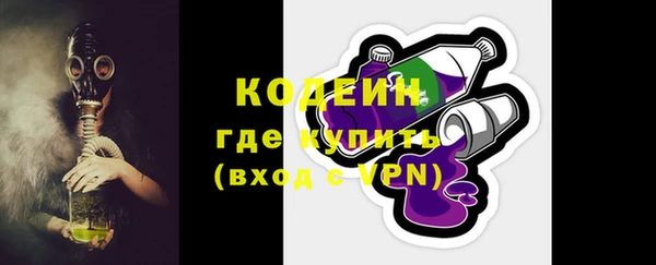 прущие грибы Медногорск