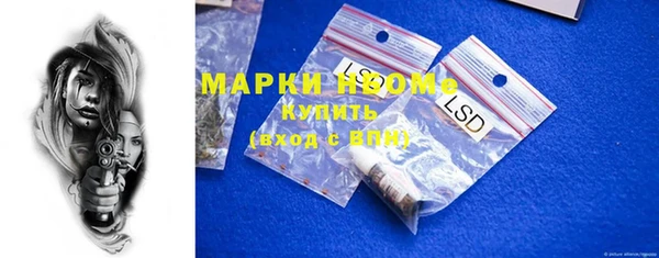 прущие грибы Медногорск
