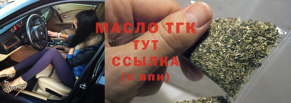 прущие грибы Медногорск