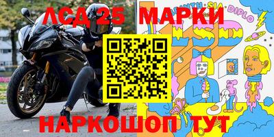 сатива Аргун