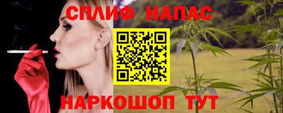 индика Апшеронск