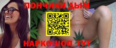 сатива Аргун