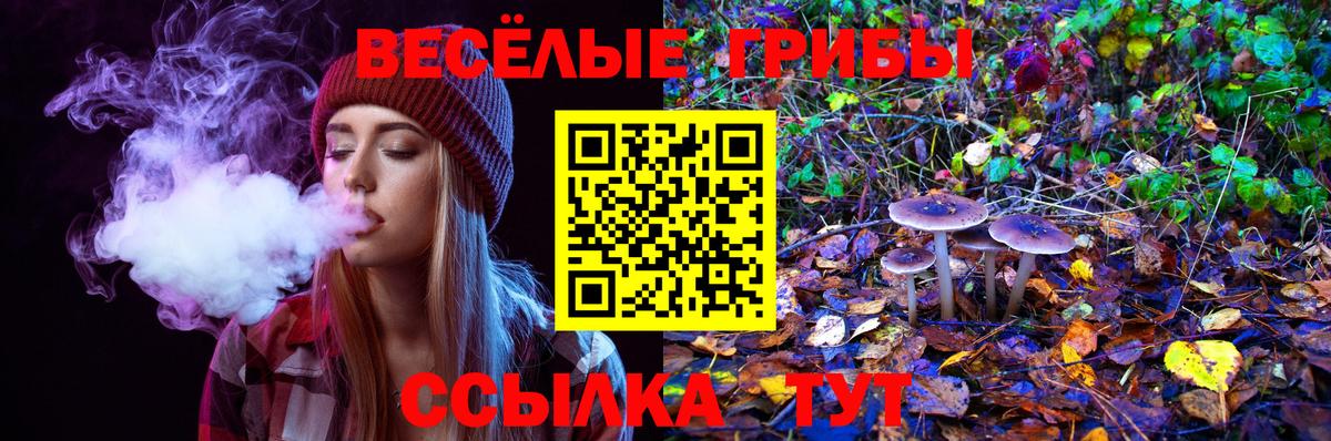 Псилоцибиновые грибы Psilocybine cubensis Уварово
